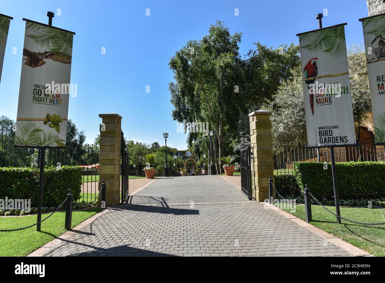 Zoo Lake Johannesburg High Resolution Stock Photography And Images Alamy