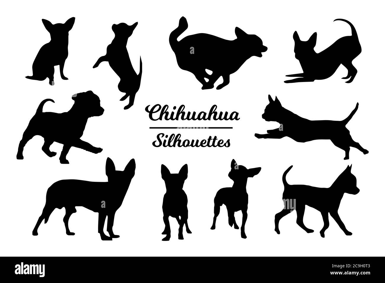 Chihuahua Dog Silhouettes Black And White Outline Stock Vector Image Art Alamy