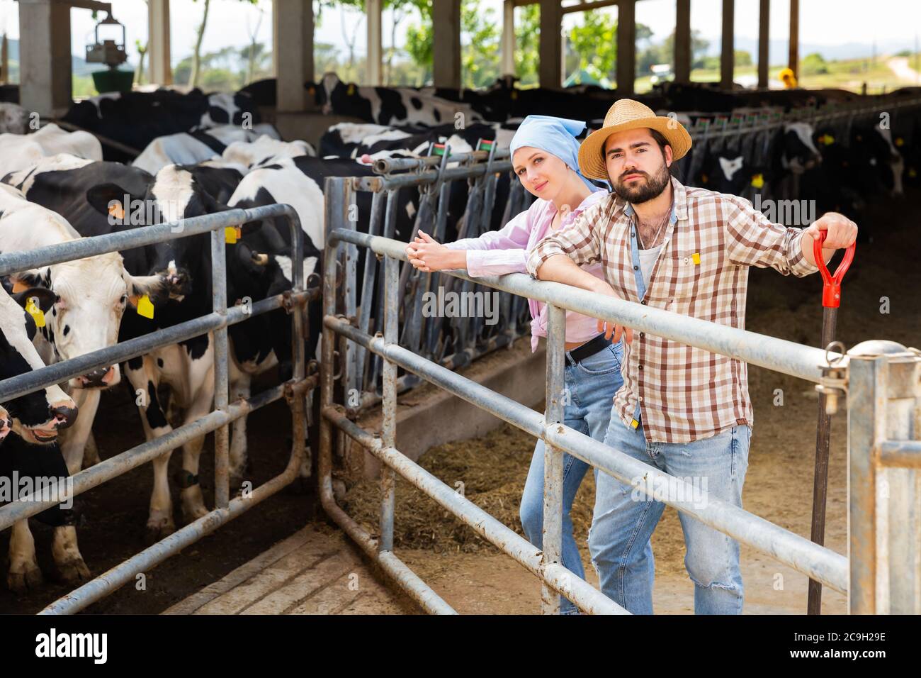 Positive young man and woman owners of dairy farm standing in stall on