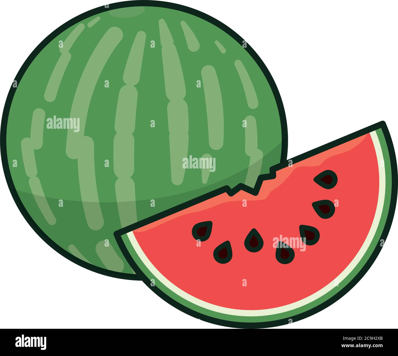 Whole watermelon and piece isolated  vector illustration for Watermelon Day on August 3. Fresh fruit in summer symbol. Stock Vector
