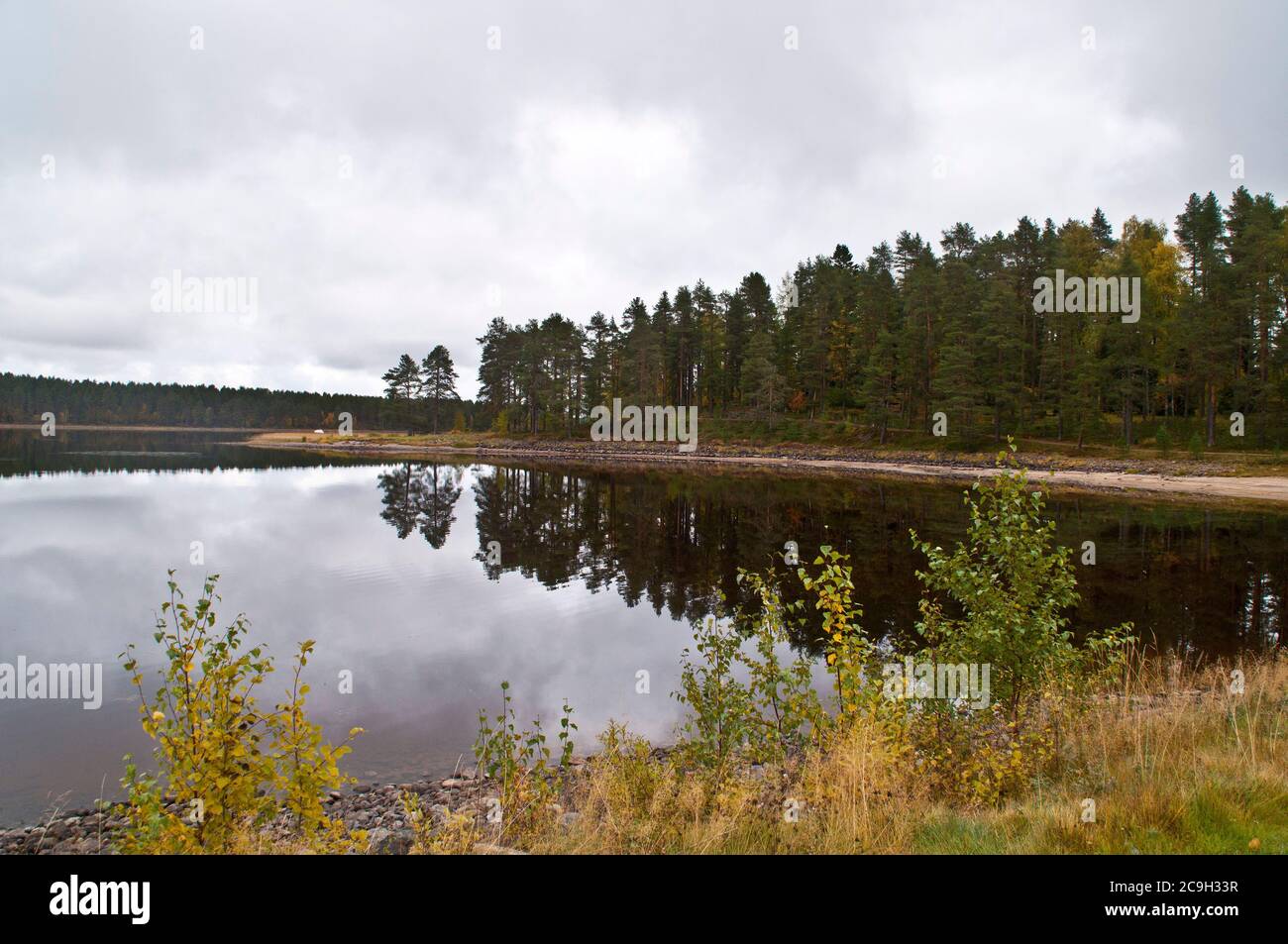 A lake in the city of Kuhmo, Finland Stock Photo - Alamy