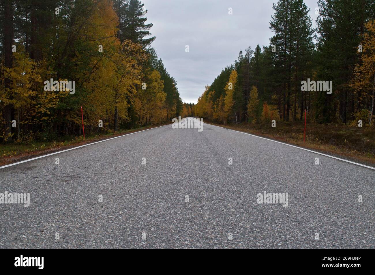 Empty road in the region of Kainuu, Finland Stock Photo