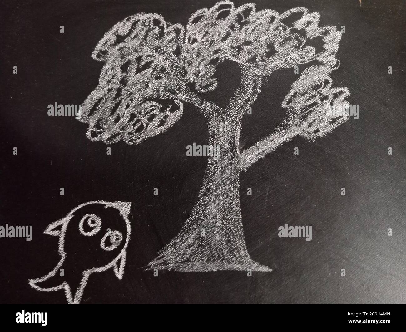 Funny fish climb on the tree cartoon art drawing on chalkboard for kid