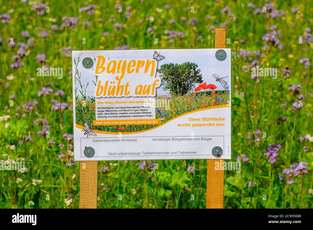 Plaque with inscription Bavaria is blooming, flower meadow near Arnsberg, near Kipfenberg, Altmuehltal, Upper Bavaria, Bavaria, Germany Stock Photo