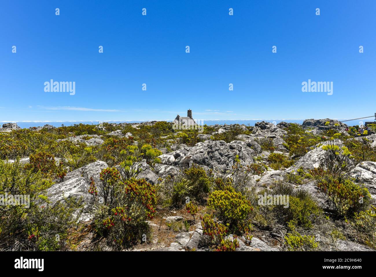 Table Mountain Top, Cape Town, Western Cape, South Africa Stock Photo
