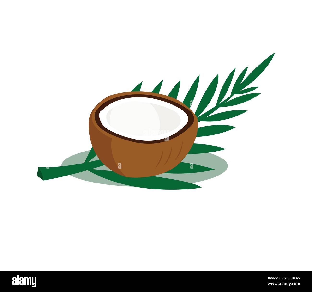 Brown coconut isolated on white background. Stock Vector