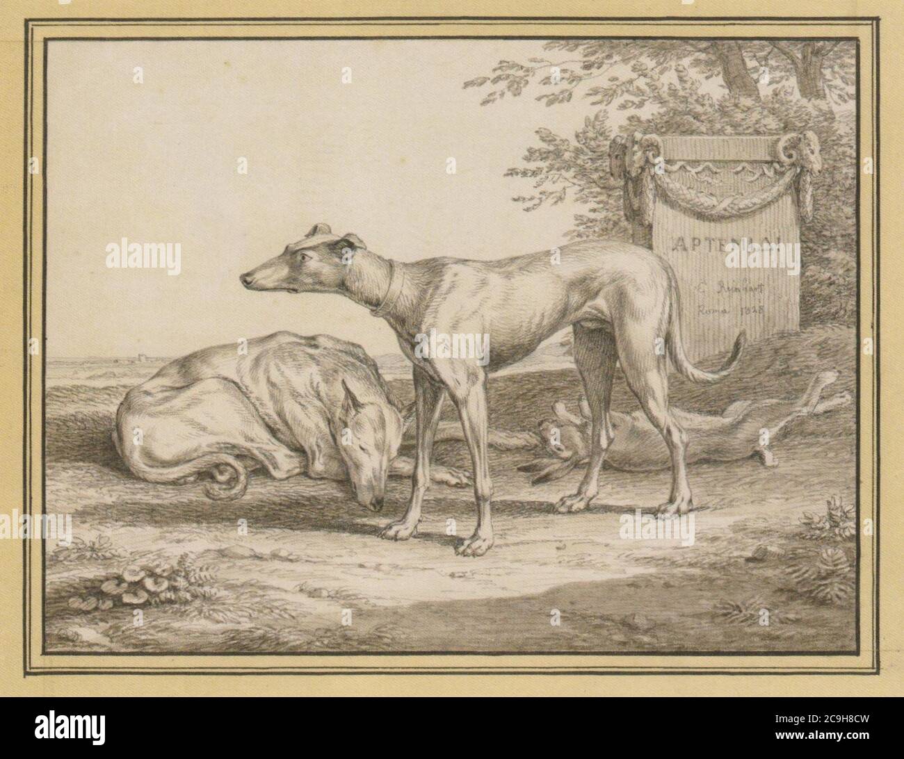 J C Reinhart Zwei Windhunde bei einem toten Hasen 1828. Stock Photo