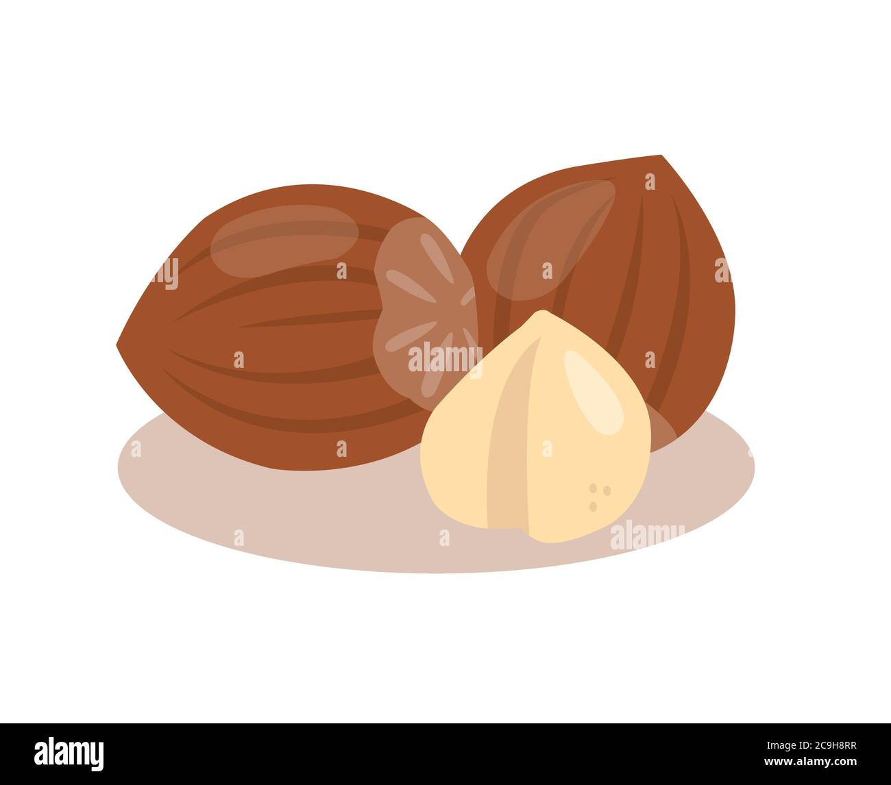Hazelnut nuts isolated on white background. Stock Vector
