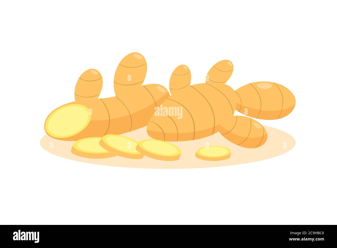 Ginger and sliced ginger isolated on white background. Stock Vector