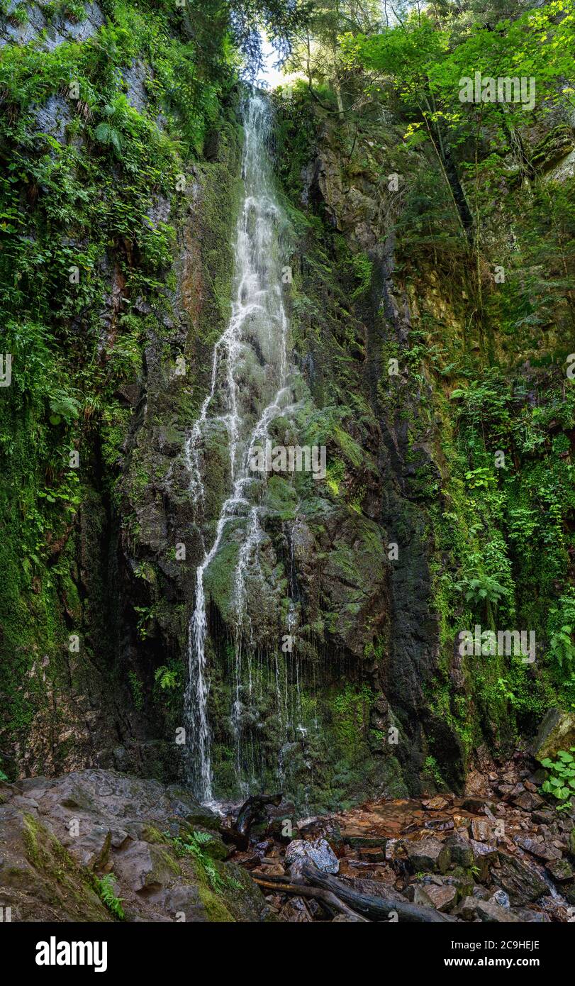 Burgbach Waterfall near Bad Rippoldsau-Schapbach in the Black Forest, Germany Stock Photo