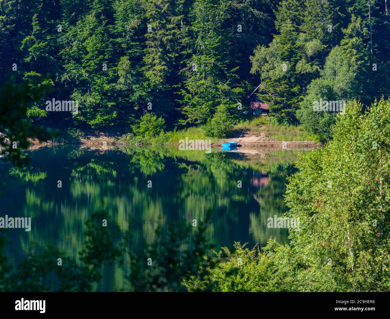 Beautiful nature of Lokve lake in Croatia Europe preserved natural environment Stock Photo