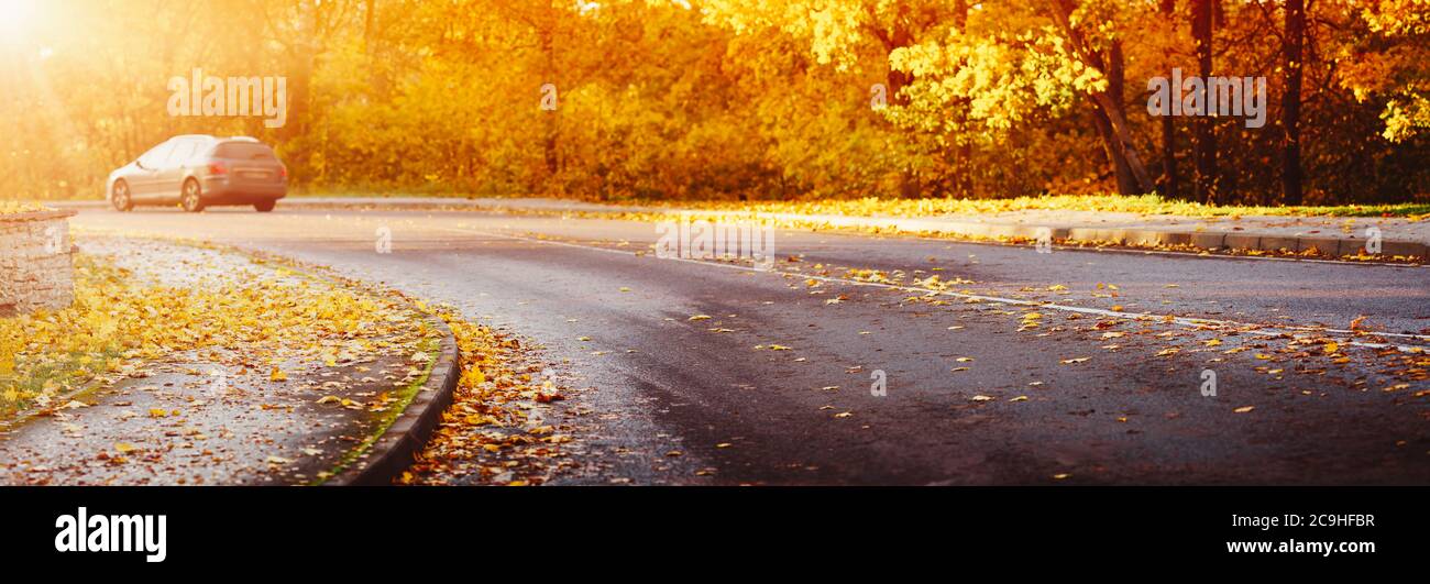 autumnal asphalt road with beautiful trees and foliage Stock Photo - Alamy