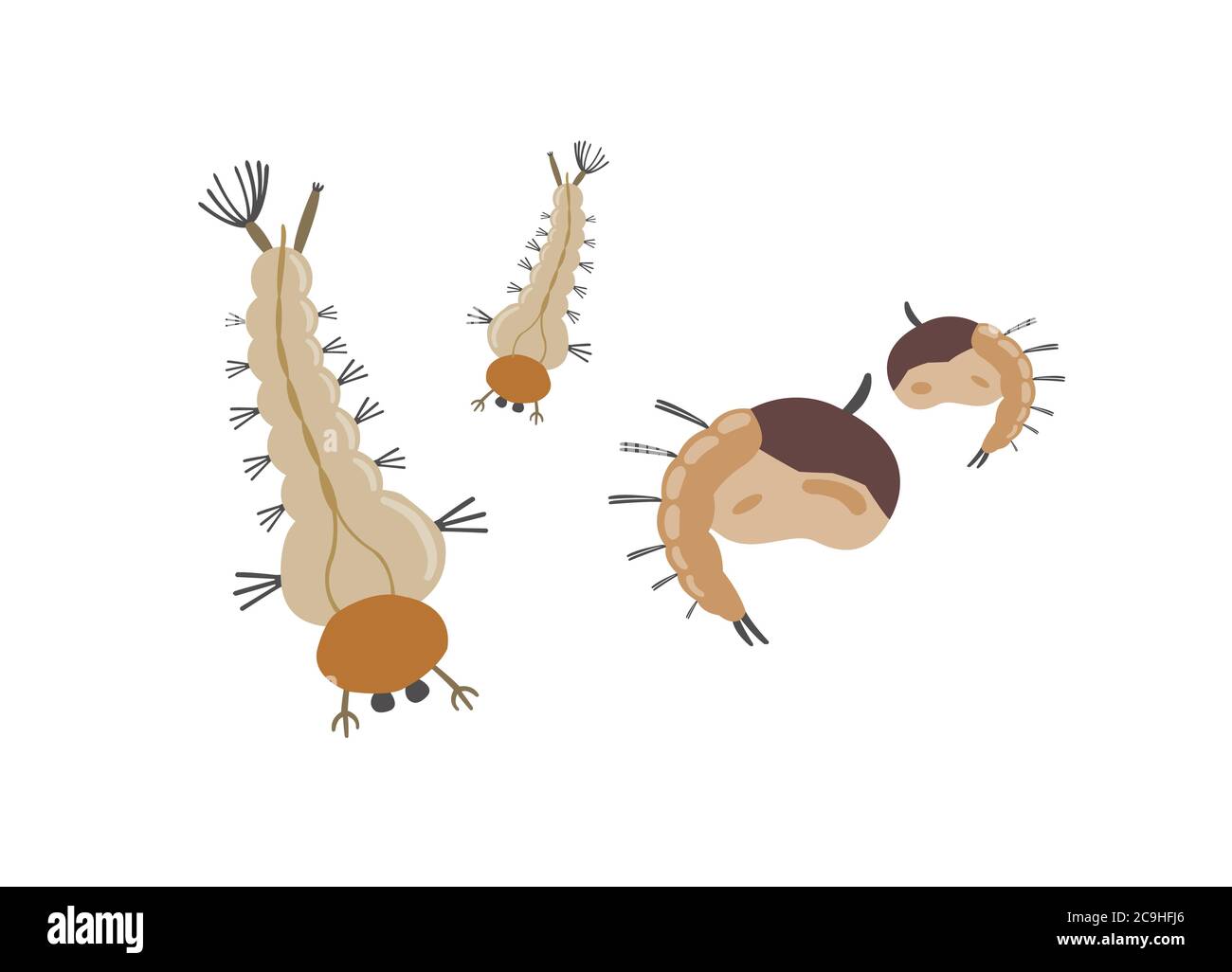 Mosquito larva isolated on white background. Stock Vector