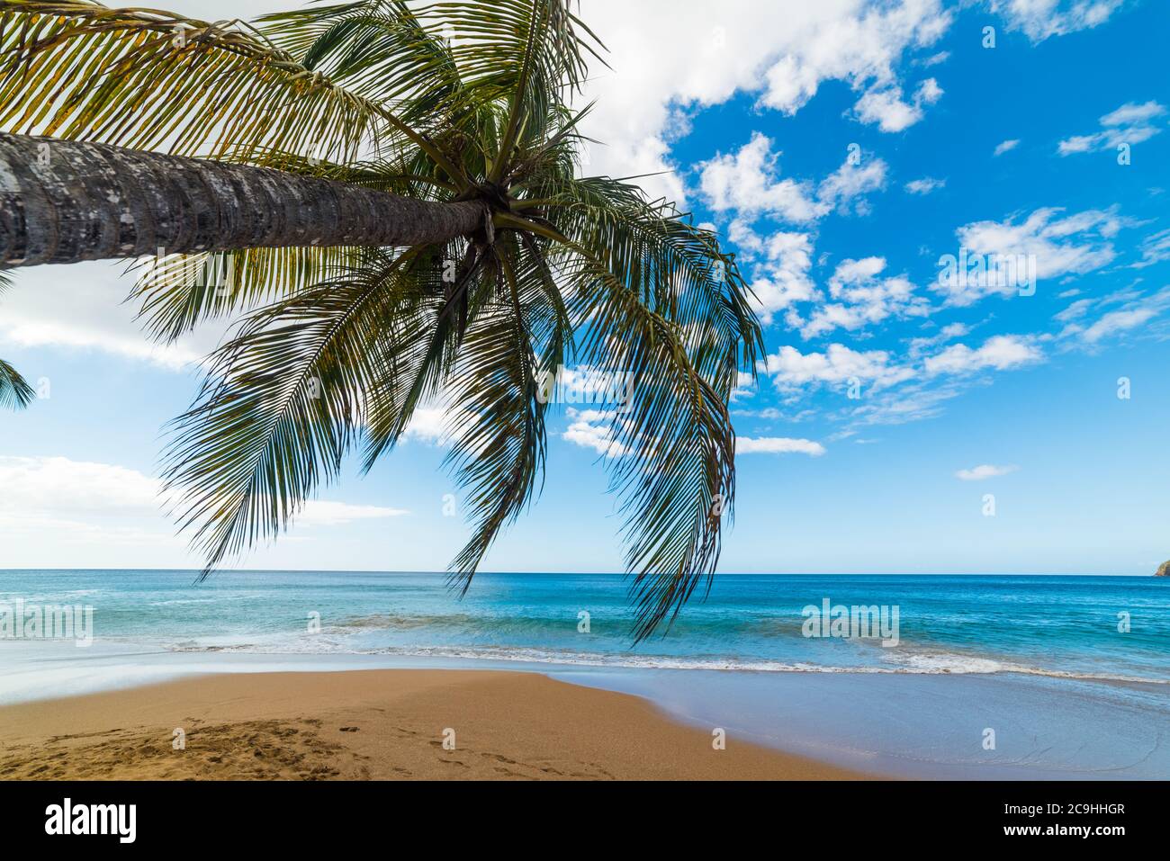 La desirade guadeloupe hi-res stock photography and images - Alamy