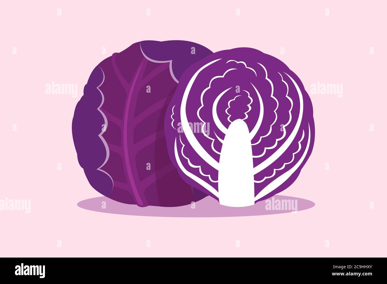 Purple cabbage isolated on purple background. Stock Vector