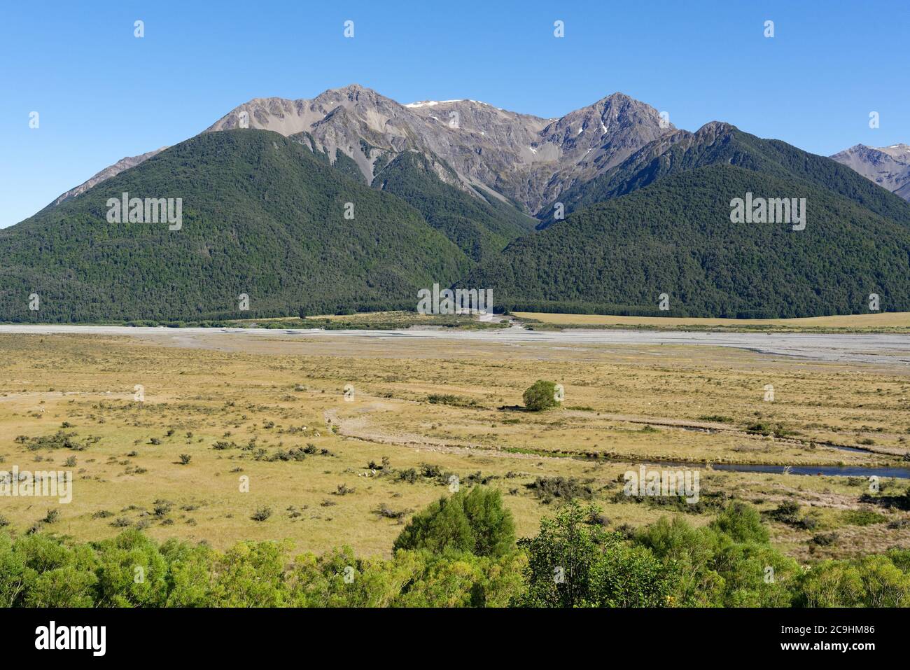 Arthur's Pass National Park in the Canterbury region of New Zealand Stock Photo