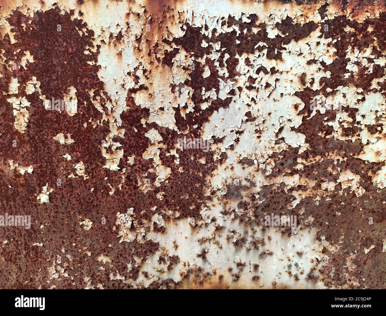 Corroded metal background. Rusted white painted metal wall. Rusty metal