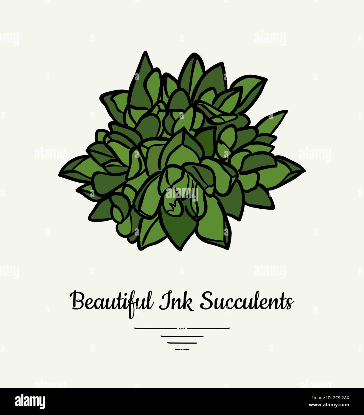 Crassula hand drawn succulent vector isolated illustration. Modern ink succulent plant logo, icon, poster, banner, postcard. Minimalistic floral Stock Vector