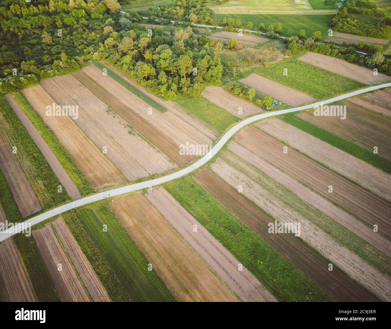 Eagle eye view of narrow dirt road in the middle of cultivated crop field on the forest edge in rural landscape around Zagreb city, Croatia Stock Photo