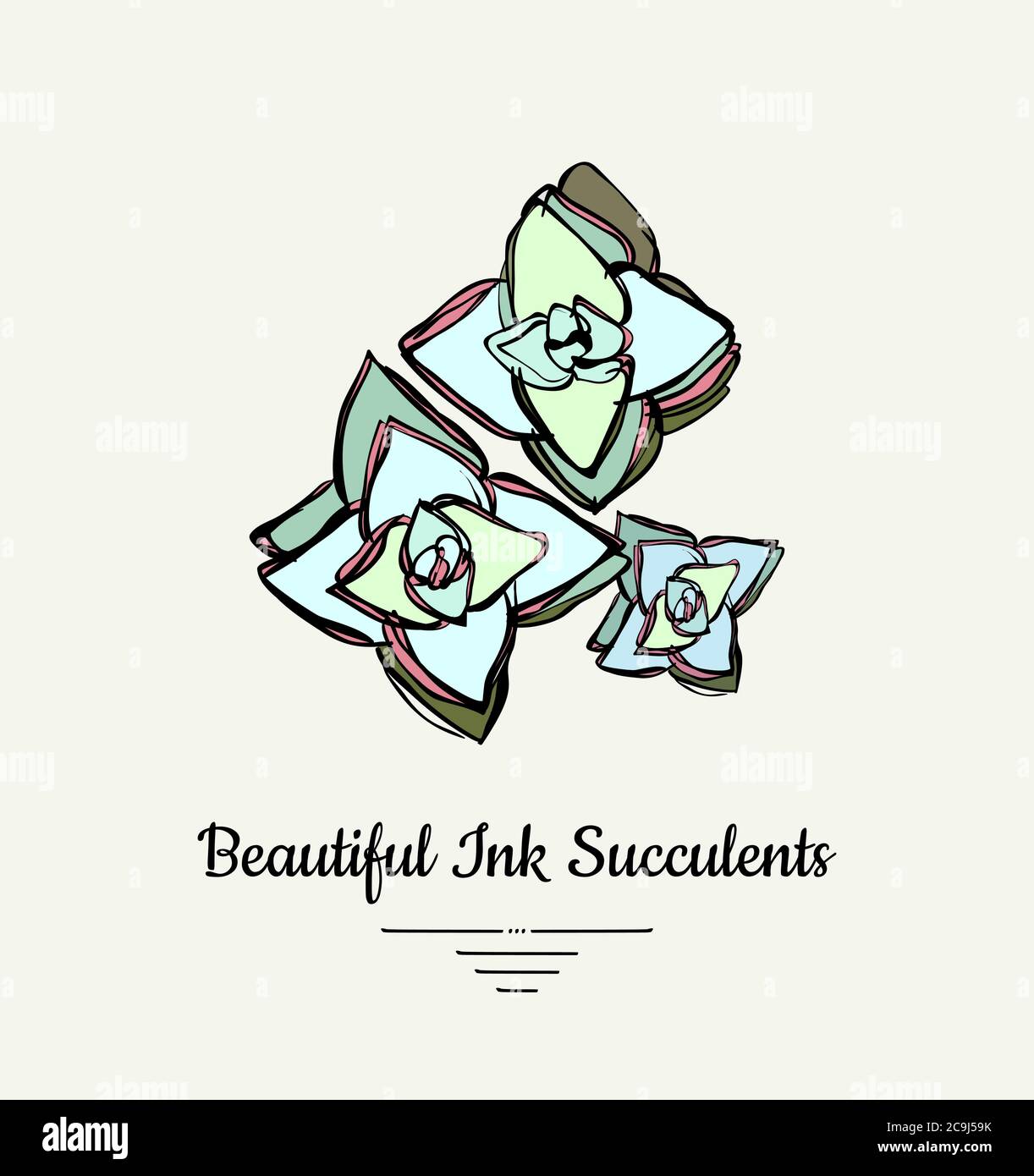 Crassula hand drawn succulent vector isolated illustration. Modern ink succulent plant logo, icon, poster, banner, postcard. Minimalistic floral Stock Vector