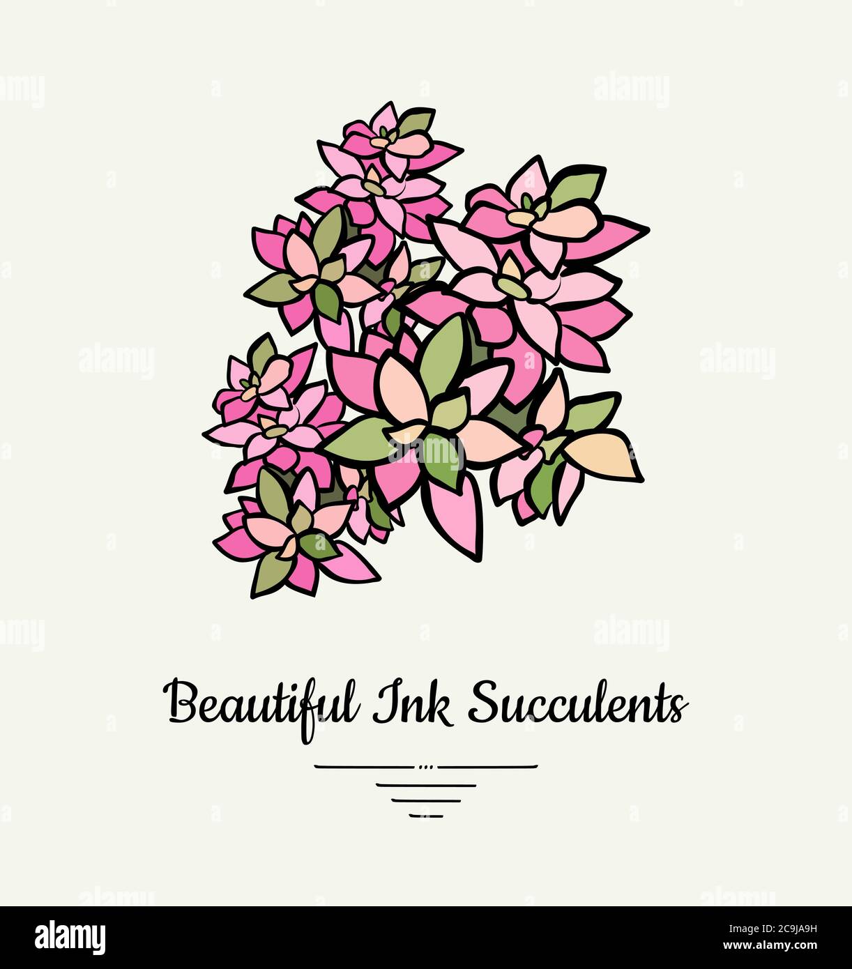 Crassula hand drawn succulent vector isolated illustration. Modern ink succulent plant logo, icon, poster, banner, postcard. Minimalistic floral Stock Vector