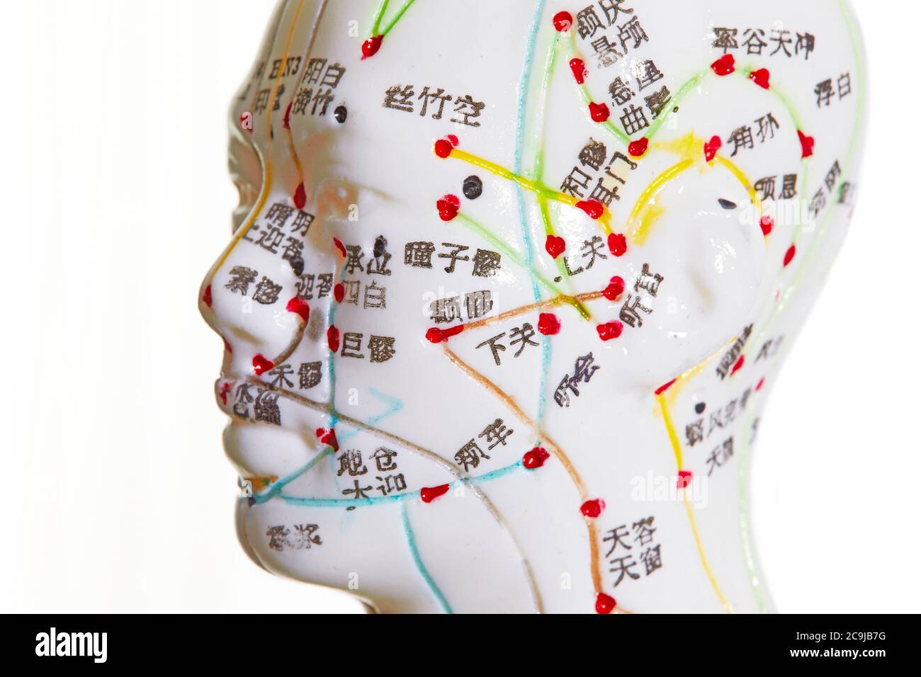 Acupuncture model against a white background Stock Photo Alamy