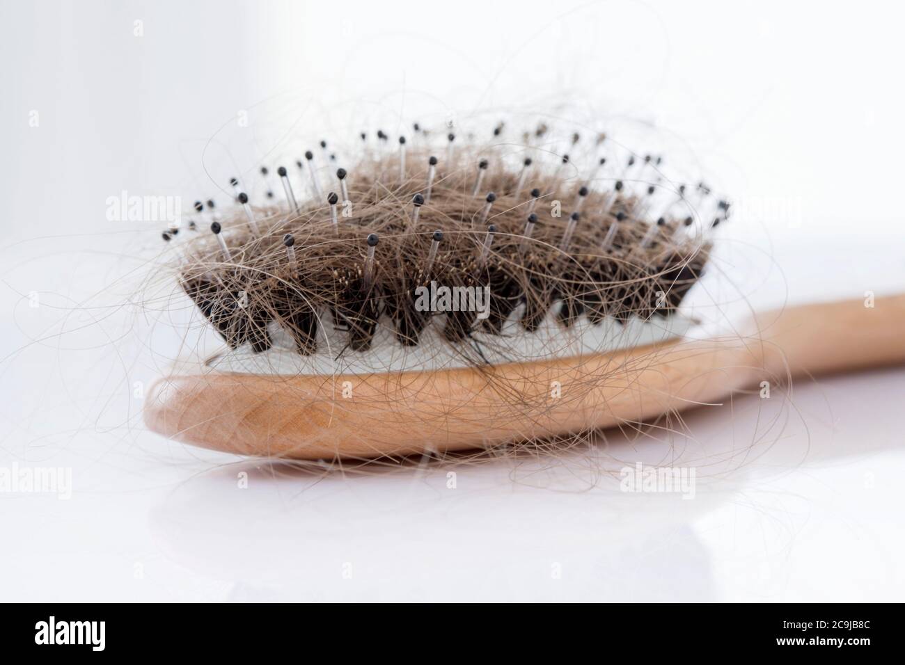 Hairbrush covered with hair, studio shot. Stock Photo