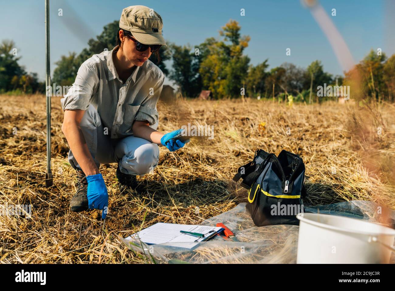 Measuring Soil Temperature with Thermometer. Female agronomist measuring soil temperature in the field Stock Photo