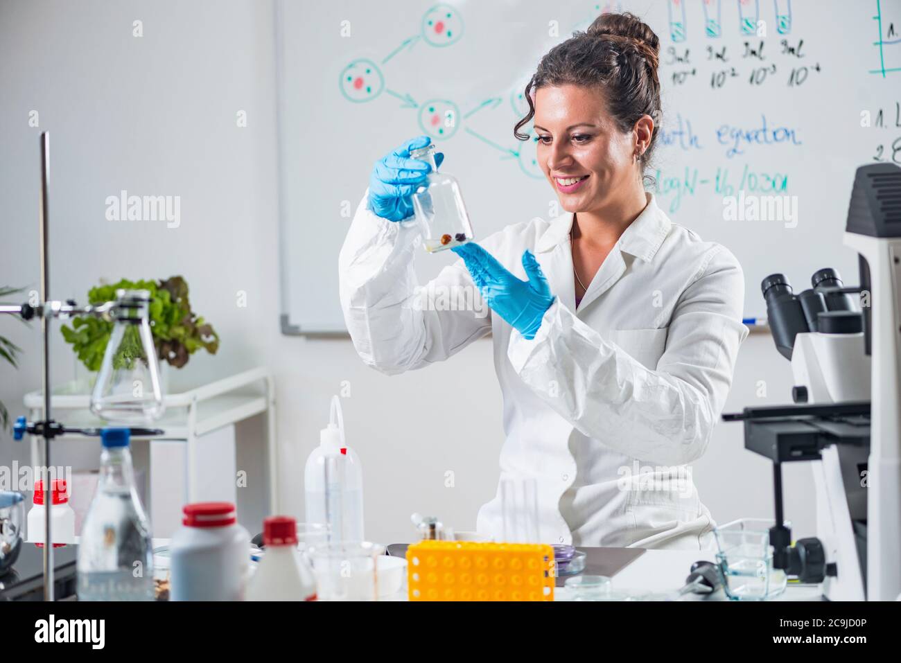 Food safety inspector working in laboratory Stock Photo Alamy