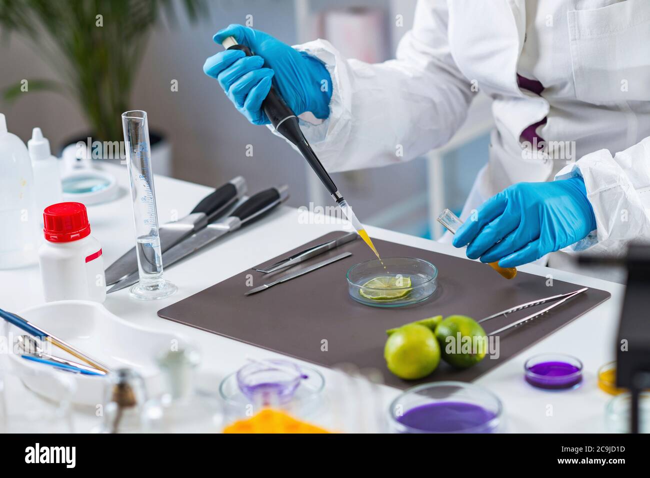 Food safety laboratory procedure, analysing fruits from the market
