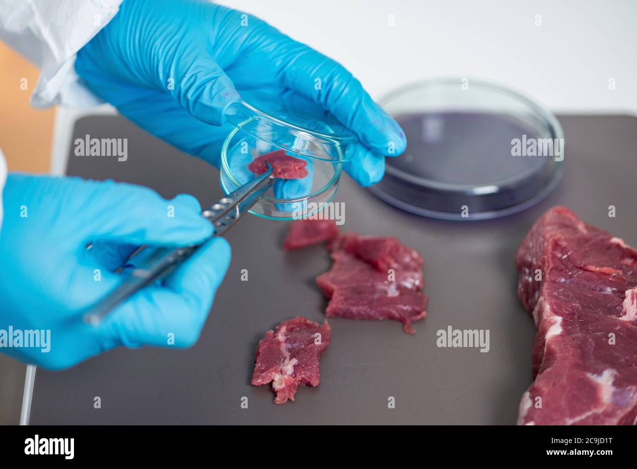 Лабораторные исследования мяса. Искусственно выращенное мясо. Микробиология ветеринарно санитарная экспертиза. «микробиологическое исследование мяса». Микробиологические исследования мяса.