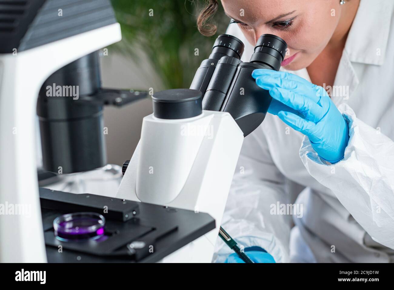 Quality control expert inspecting meat in the laboratory Stock Photo