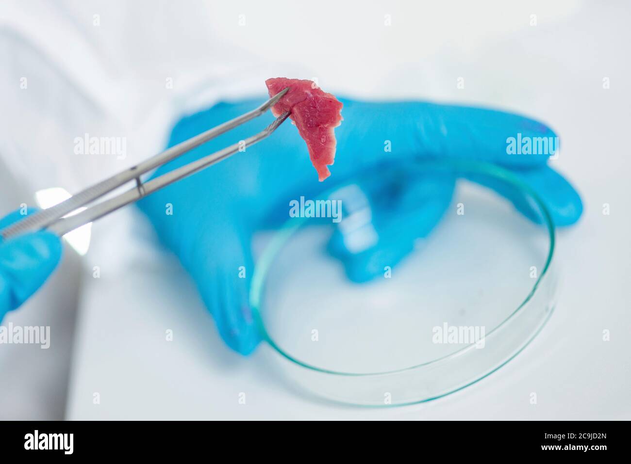 Quality control expert inspecting meat in the laboratory Stock Photo