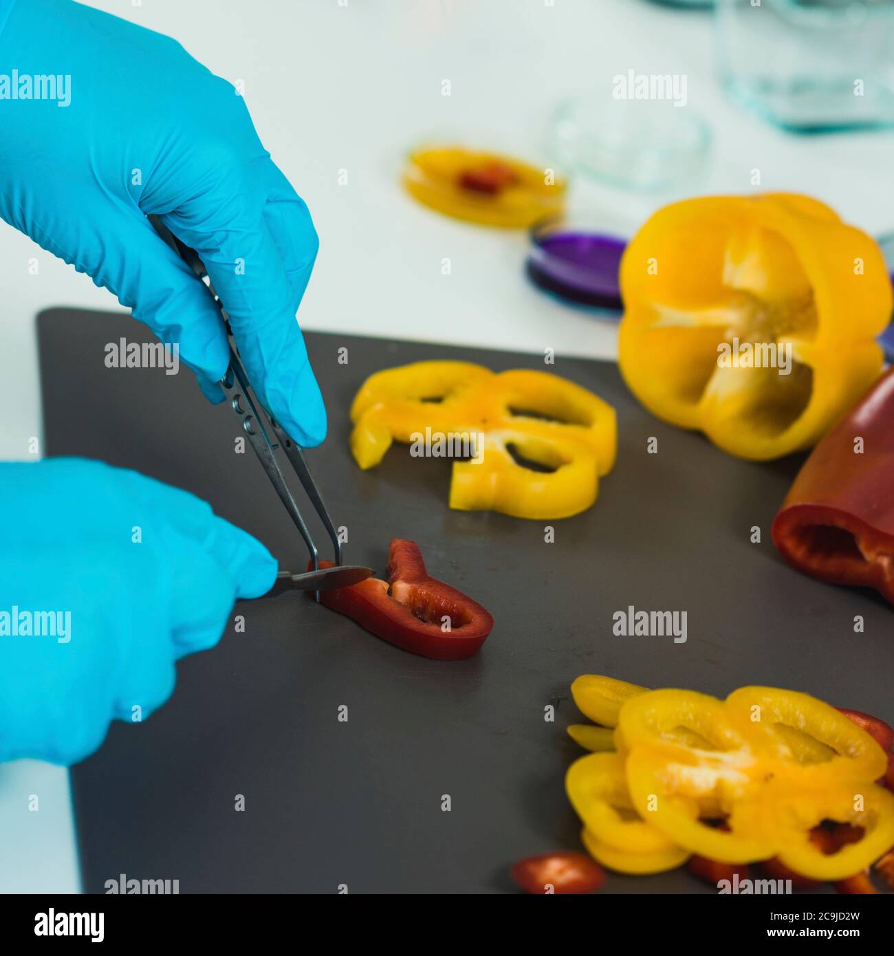 Quality control food safety inspector working in a laboratory Stock ...