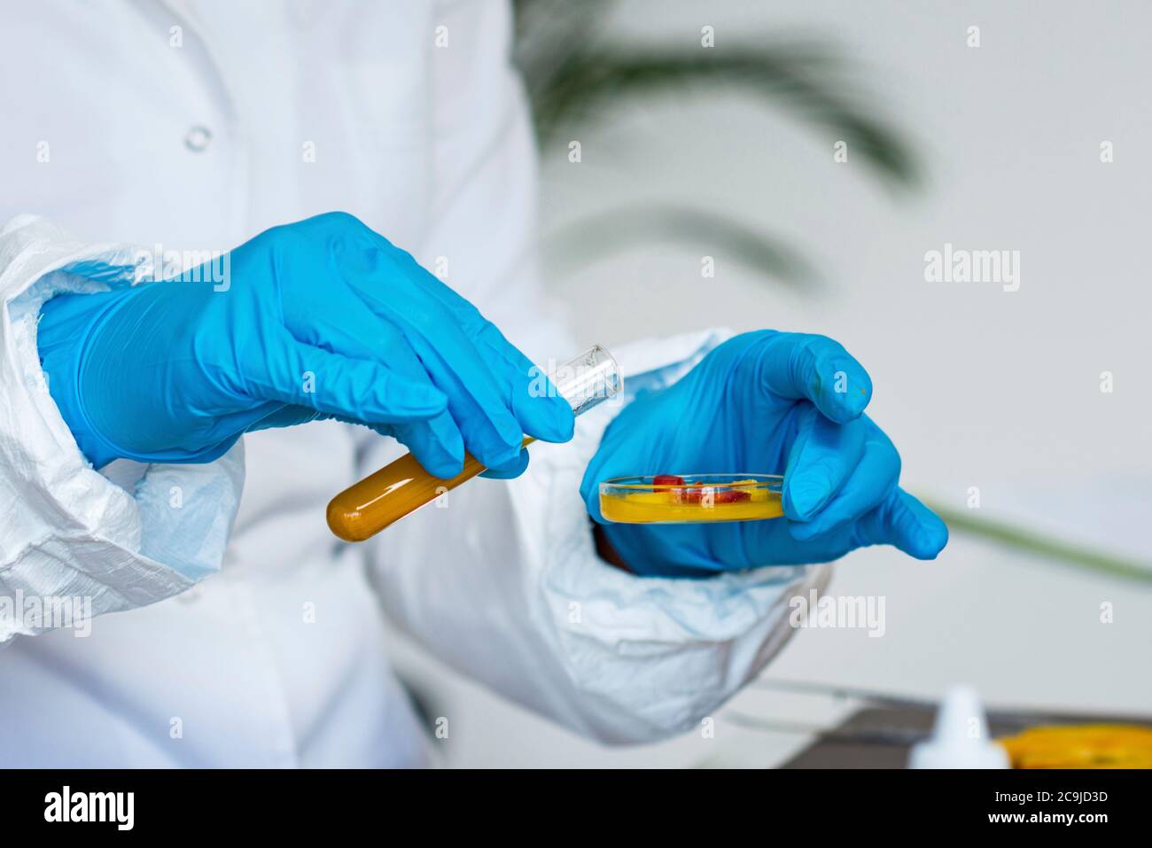 Quality control food safety inspector working in a laboratory Stock ...