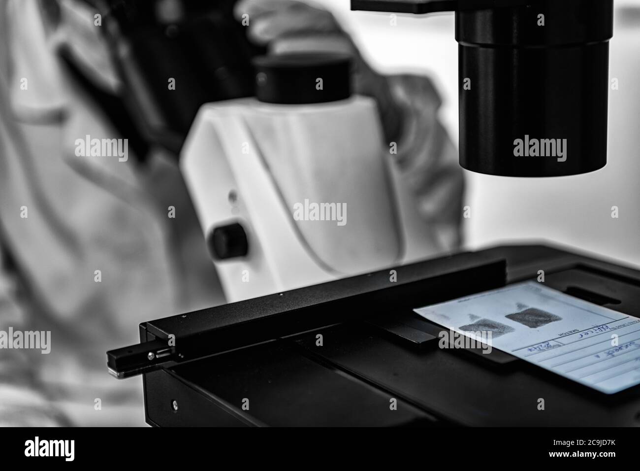 Forensic Science Police Analyst Examining Fingerprints Under The