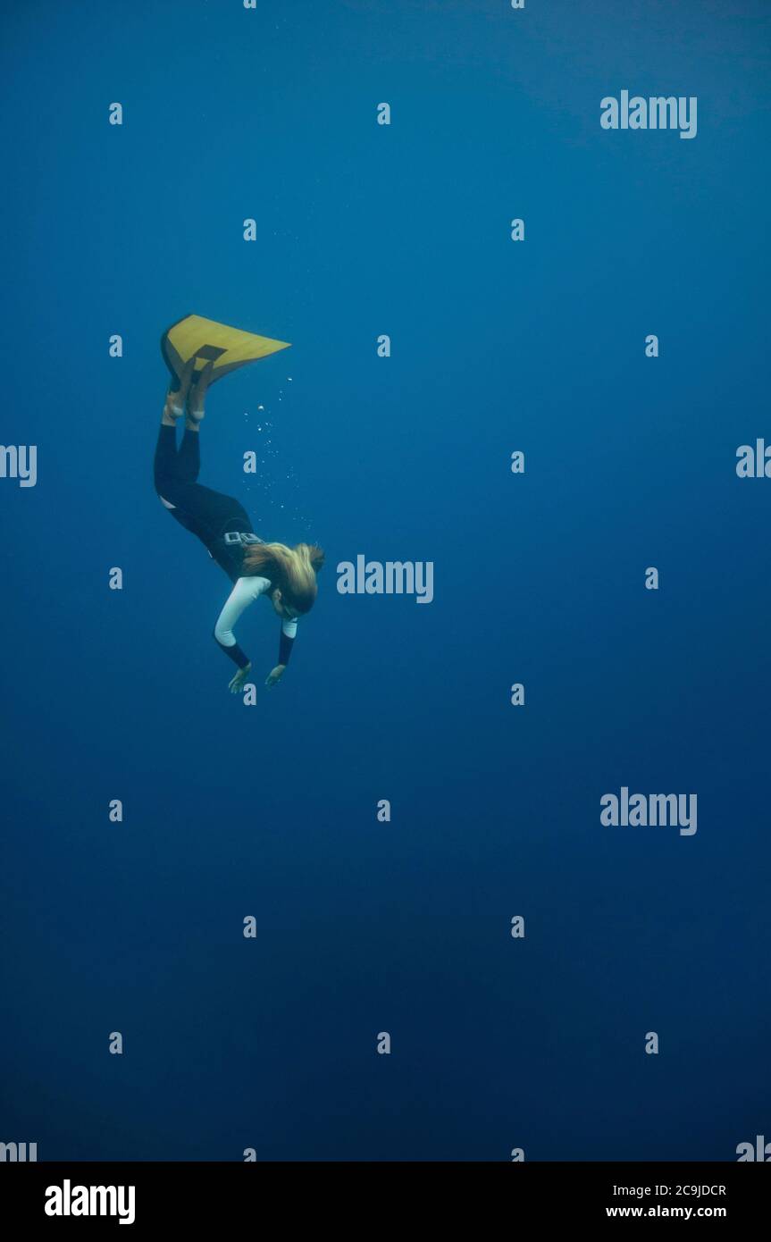 Female free diver diving down Stock Photo Alamy
