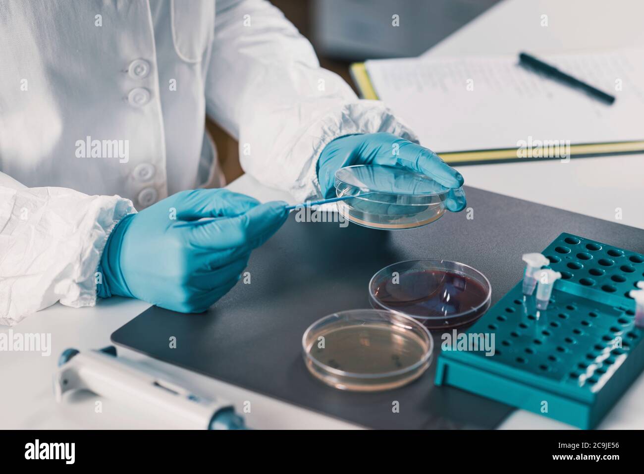 Female woman hands microbiologist scientist hi-res stock photography ...