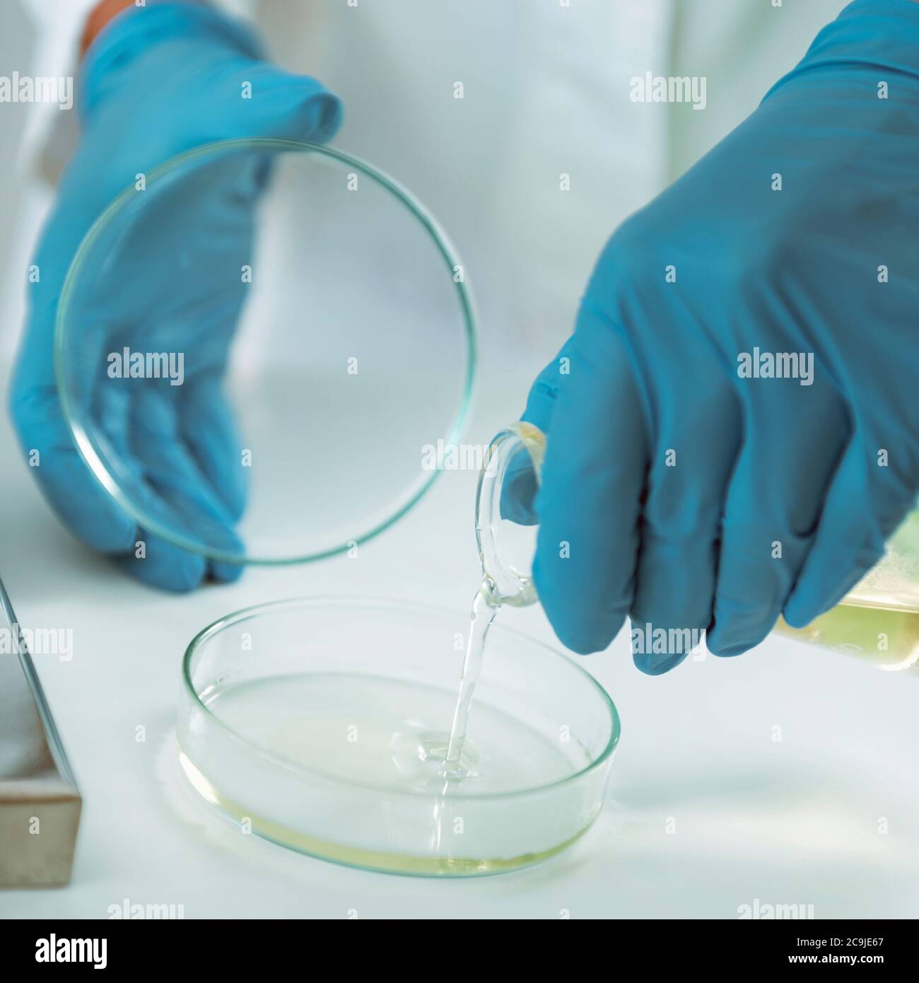 Agar Plates High Resolution Stock Photography and Images Alamy