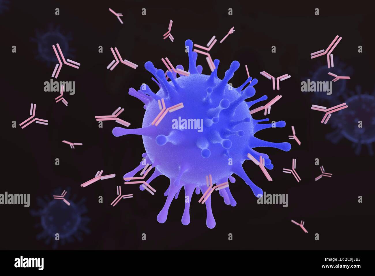 Computer illustration of antibodies (pink) attacking a virus particle ...