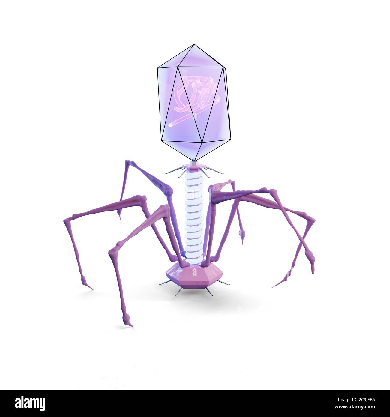 Computer illustration of a bacteriophage. Bacteriophages are viruses that infect bacteria. They are used in phage therapy. Stock Photo