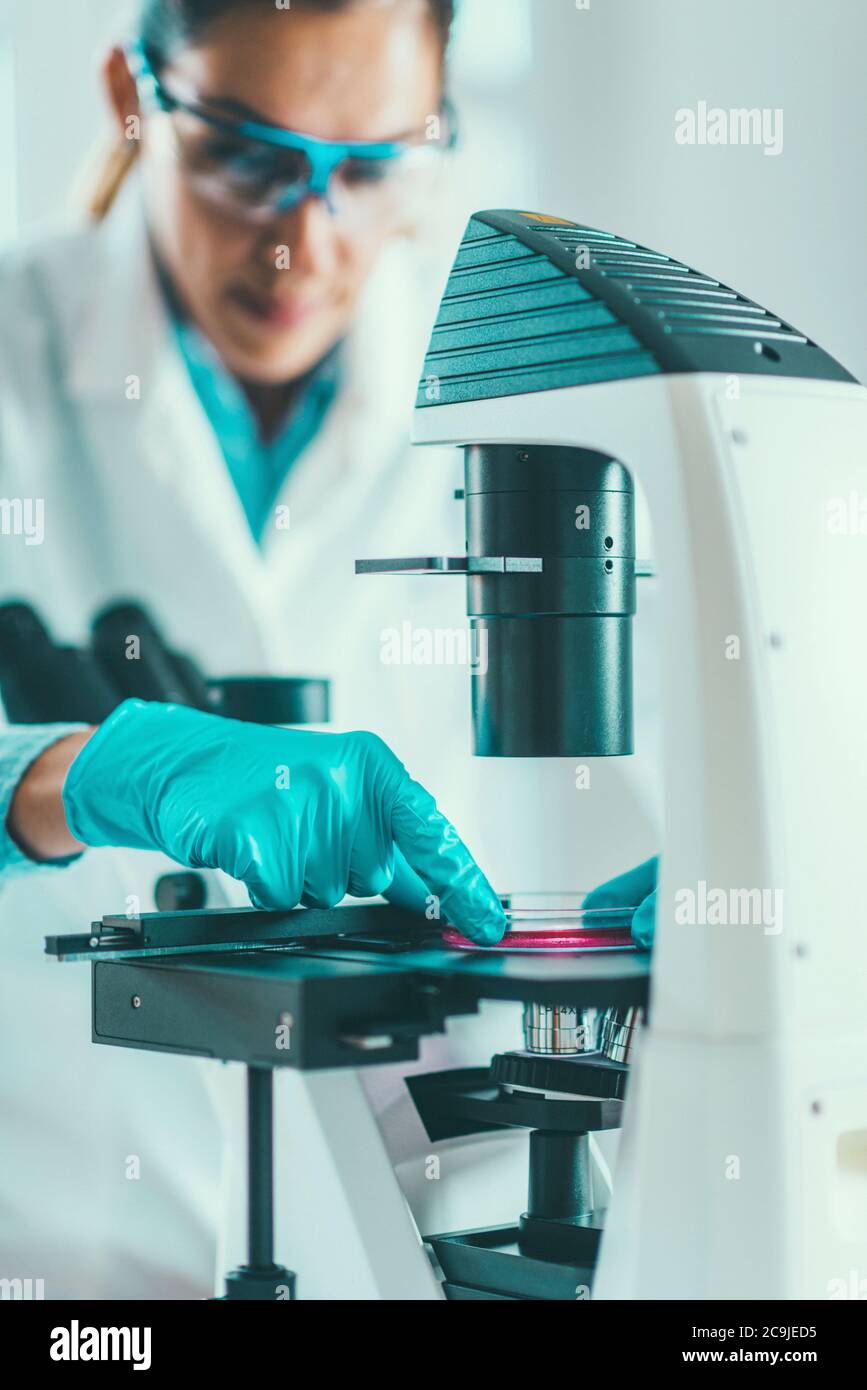 Biotechnology. Female scientist working in laboratory. Stock Photo