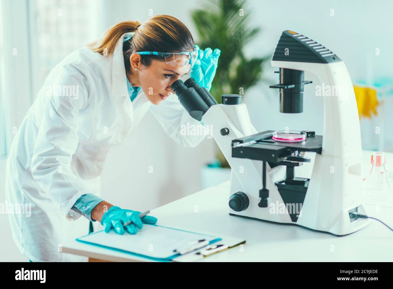 Young scientist working in her lab. Stock Photo
