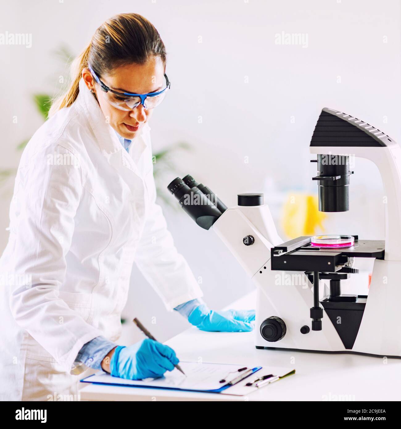Female chemist or lab technician researching samples in laboratory. Stock Photo