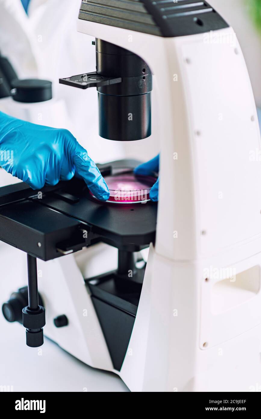 Laboratory work. Stock Photo