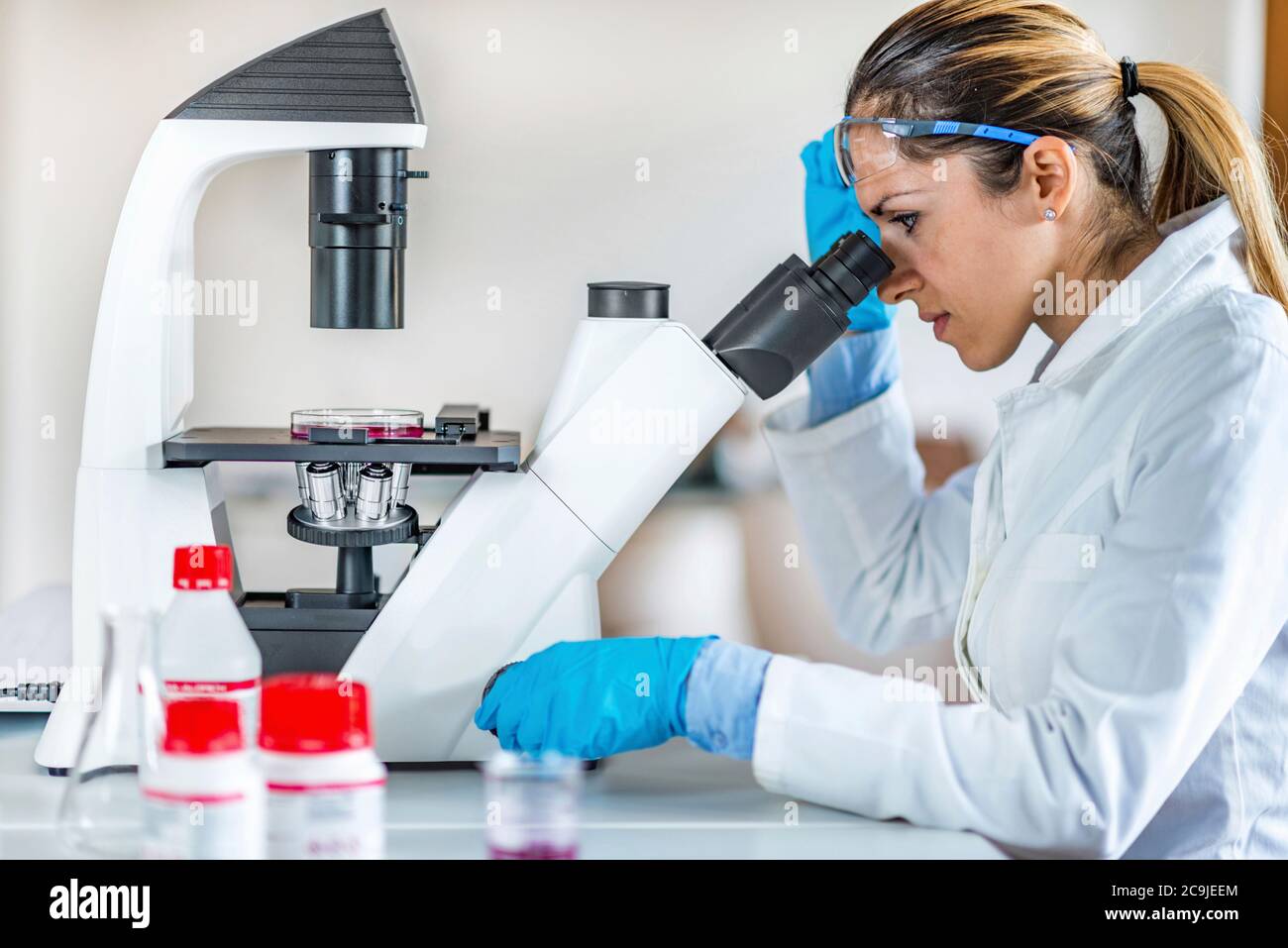 Researcher in laboratory. Stock Photo