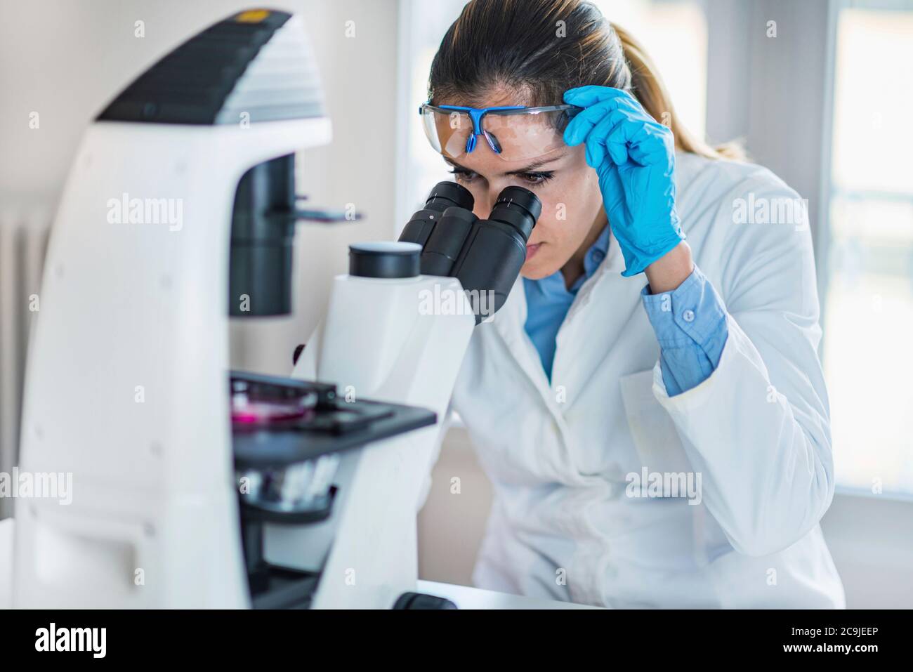Female chemist or lab technician researching samples in laboratory. Stock Photo