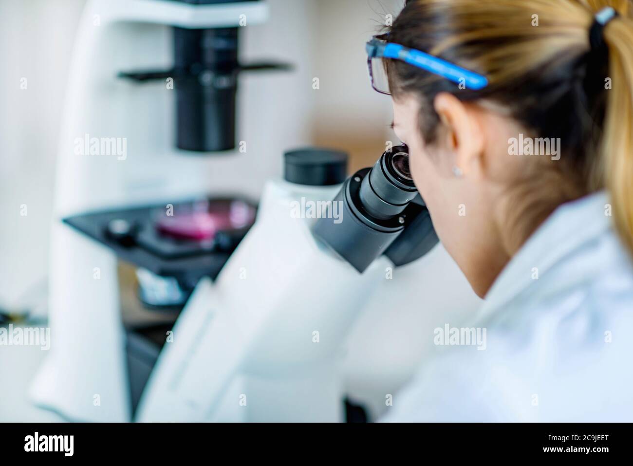 Researcher in laboratory. Stock Photo