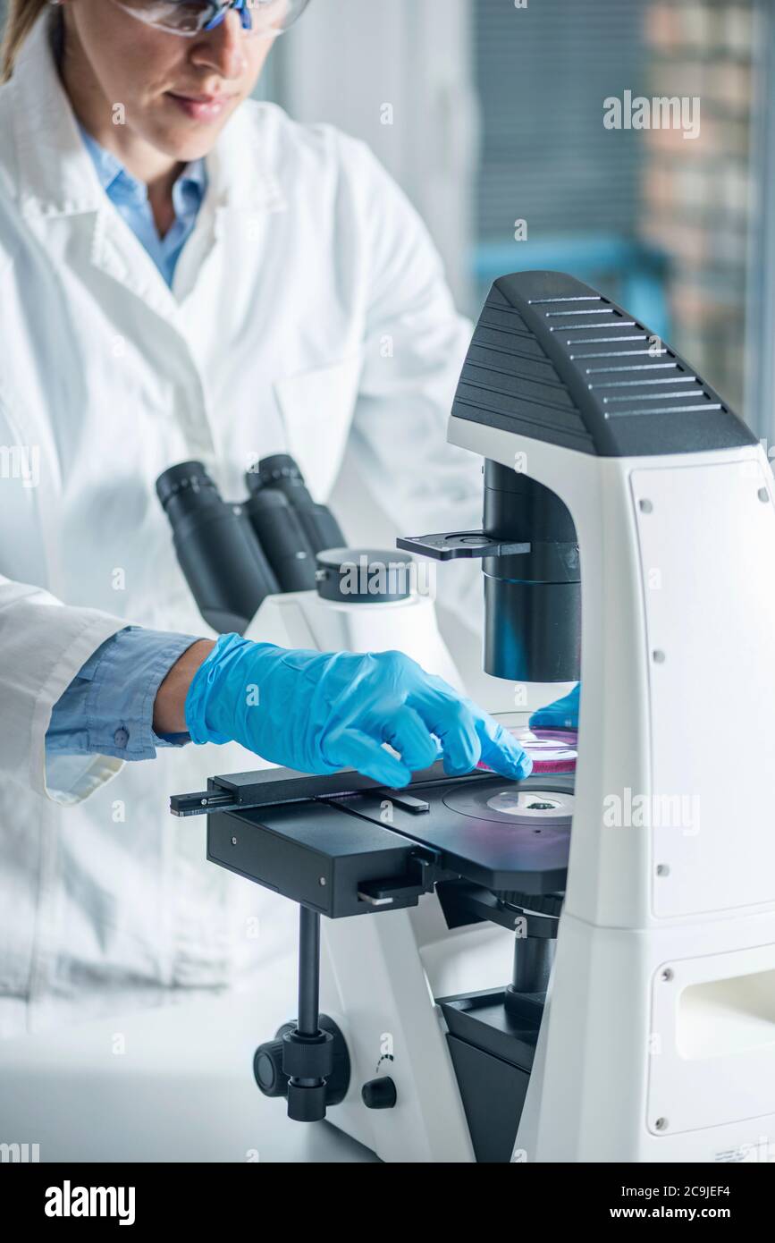 Laboratory work hi-res stock photography and images - Alamy
