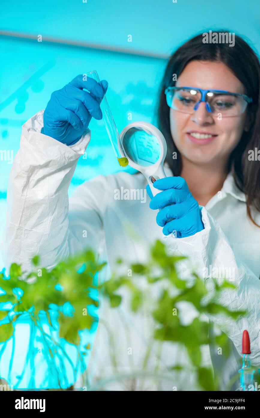 Botanist examining plant samples with magnifying glass Stock Photo - Alamy
